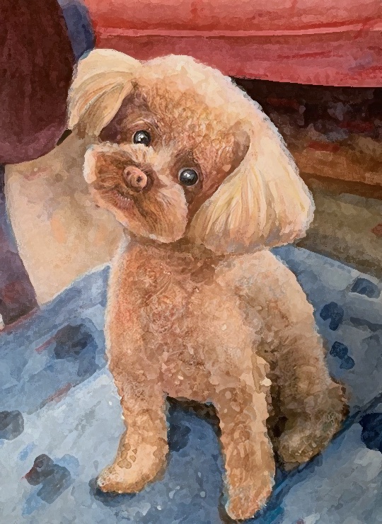 Watercolor portrait of a dog named Louie in a different style