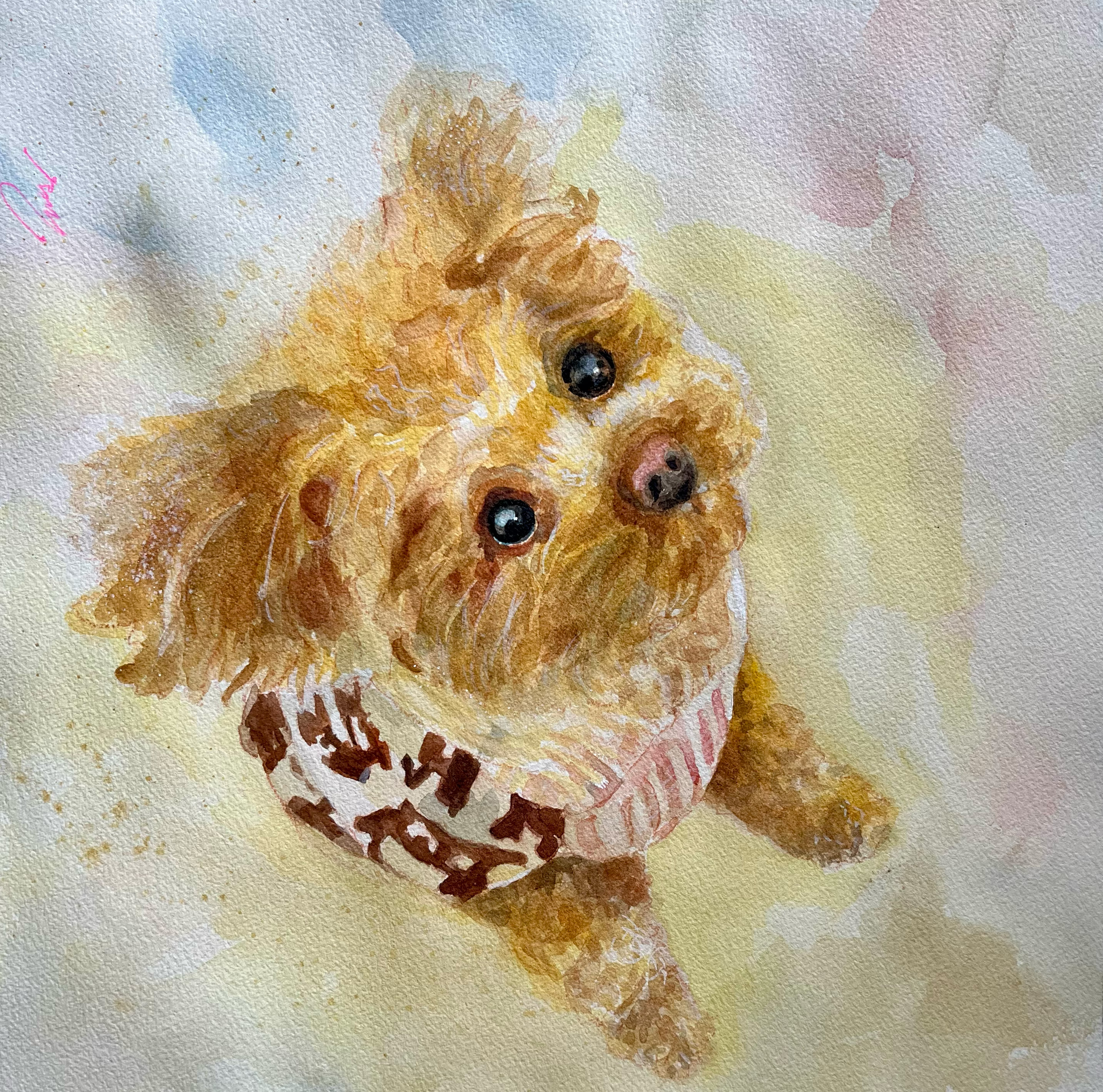 Watercolor portrait of a terrier looking up close with a leopard-print collar