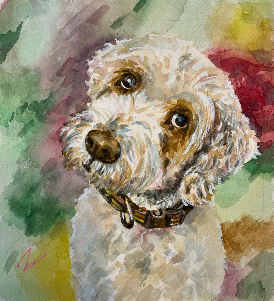 Watercolor portrait of a scruffy terrier mix with big brown eyes