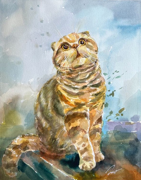 Watercolor portrait of a Scottish Fold cat