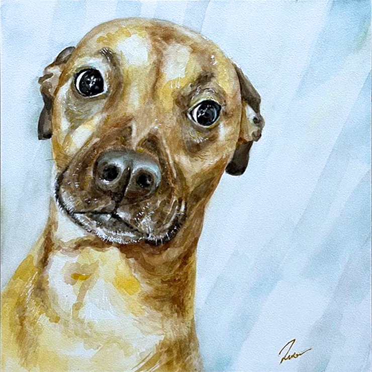 Watercolor portrait of a dog named August